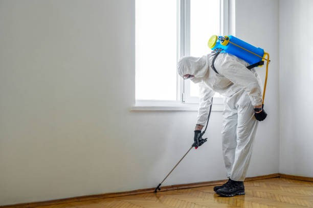 Wildlife Control Services in Kilgore, TX